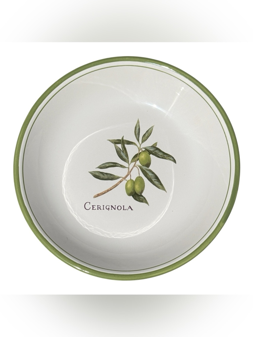 Williams Sonoma Olive Grove Cerignola Pasta Bowl Portugal Green Olive Dish 9.5”